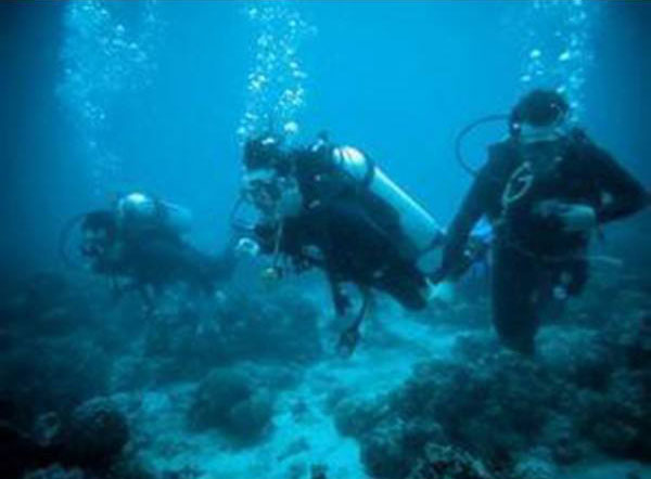 潜水公司 潜水公司