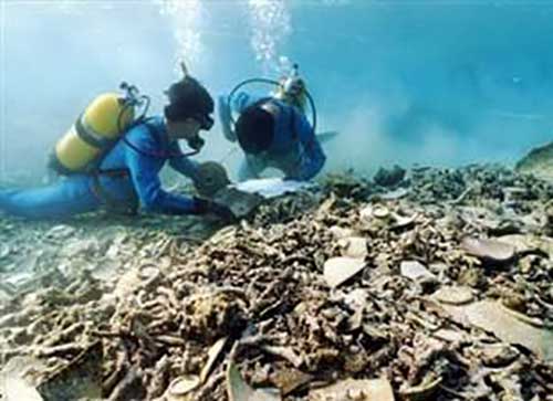 潜水公司 潜水公司